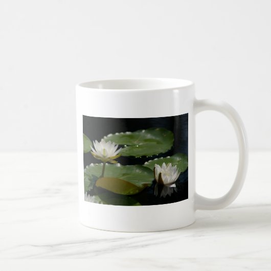 ホワイト《植物》スイレンマグ コーヒーマグカップ (右)