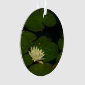 ホワイト《植物》スイレンI平和花の写真 オーナメント (正面)