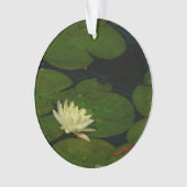 ホワイト《植物》スイレンI平和花の写真 オーナメント (正面)
