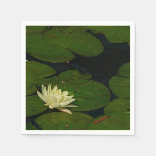 ホワイト《植物》スイレンI平和花の写真 スタンダードカクテルナプキン (正面)