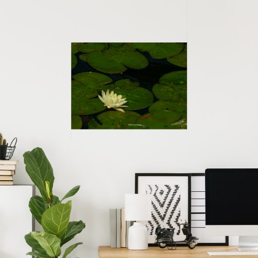 ホワイト《植物》スイレンI平和花の写真 ポスター (ホームオフィス)