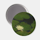 ホワイト《植物》スイレンI平和花の写真 マグネット (正面/裏面)