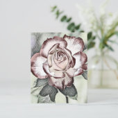 ホワイト、赤面、レッドローズ紙シート (スタンド正面)