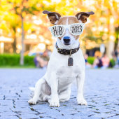 ホワイト「Put These on and Pose」の写真結婚トレンド レトロサングラス