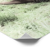 ホワイトRhinoとベビーポスター ポスター (角)