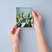 ホワイライリ チラシ (手)