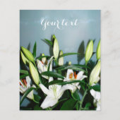 ホワイライリ チラシ (正面)