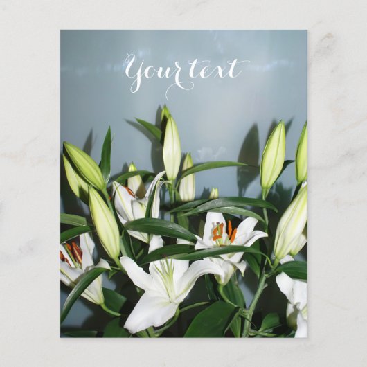 ホワイライリ チラシ (正面)