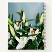 ホワイライリ ノートブック (裏面)