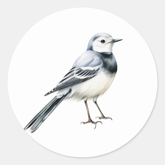 ホワイワグテール鳥のシール ラウンドシール (正面)