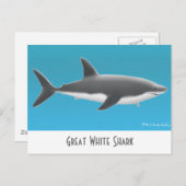 ホワイ素晴らしトシャークはがき ポストカード (正面/裏面)