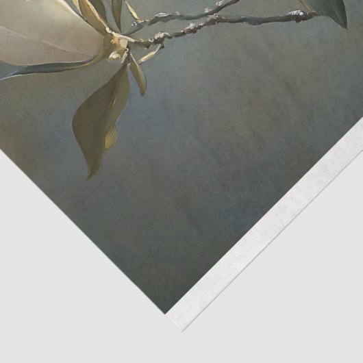 ホワエレガントイト・マグノリアス 薄葉紙 (詳細)