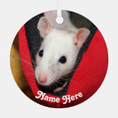 ホワパーソナライズされたイファンシートペット メタルオーナメント (裏面)