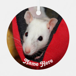 ホワパーソナライズされたイファンシートペット メタルオーナメント