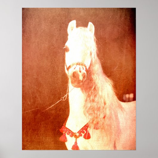 ホワファンシーイトサーカスポニーヴィンテージジプシースタイル ポスター (正面)