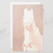 ホワファンシーイトサーカスポニーヴィンテージジプシースタイル 便箋 (正面/裏面)