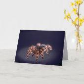 ホワリタランチュラ カード (黄色い花)