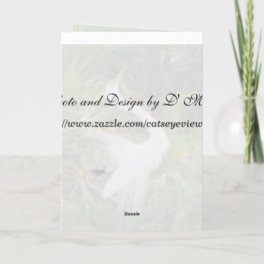 ホワ素晴らしイトの愛のダンス シーズンカード (裏面)