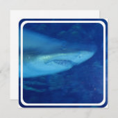 ホワ素晴らしイトシャーク招待状 招待状 (正面/裏面)