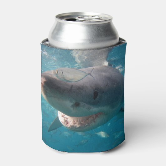 ホワ素晴らしイトシャーク水中クール閉じる 缶クーラー (缶正面)