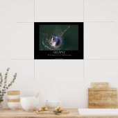 ホワ素晴らしイトシャーク「再発」ポスター ポスター (キッチン)