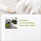 ホワ素晴らしイトピレネー犬差出人住所ラベル ラベル (インサイチュ)