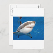 ホワ素晴らしメ ポストカード (正面/裏面)