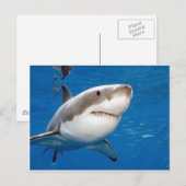 ホワ素晴らしメ ポストカード (正面/裏面)