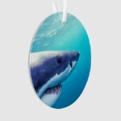 ホワ素晴らしメ |南アフリカ オーナメント (正面)