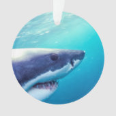 ホワ素晴らしメ |南アフリカ オーナメント (正面)