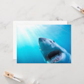 ホワ素晴らしメ |南アフリカ カード (正面/裏面インサイチュ)