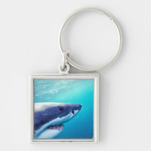 ホワ素晴らしメ |南アフリカ キーホルダー (正面)