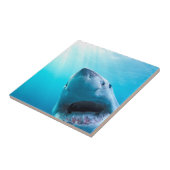 ホワ素晴らしメ |南アフリカ タイル (側面)