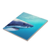 ホワ素晴らしメ |南アフリカ タイル (側面)