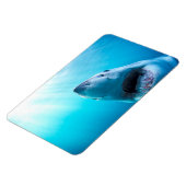 ホワ素晴らしメ |南アフリカ マグネット (左側)