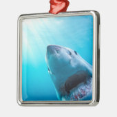 ホワ素晴らしメ |南アフリカ メタルオーナメント (左)