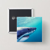 ホワ素晴らしメ |南アフリカ 缶バッジ (正面&裏面)