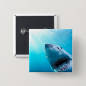 ホワ素晴らしメ |南アフリカ 缶バッジ (正面&裏面)