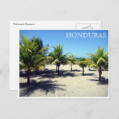ホンジュラスのテラパーム ポストカード (正面/裏面)