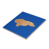 ホンジュラスの地図のタイル タイル (側面)