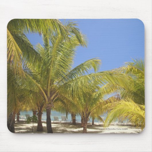 ホンジュラスの白い砂のビーチのヤシの木 マウスパッド (正面)