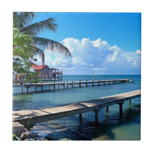 ホンジュラスロアンタンビーチ タイル (正面)