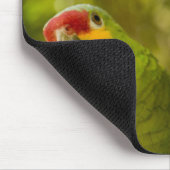 ホンジュラス・コパン マウスパッド (コーナー)