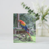 ホンジュラス，コパン・ルイナス ポストカード (スタンド正面)