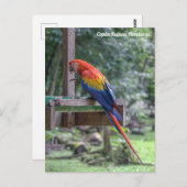 ホンジュラス，コパン・ルイナス ポストカード (正面/裏面)