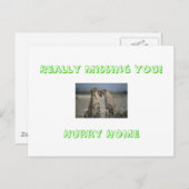 ホン恋しく思トに!急いで帰れ ポストカード (正面/裏面)