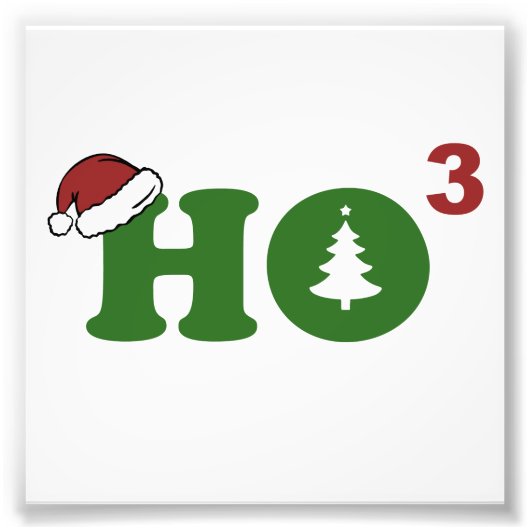 ホーかわいいメリークリスマス フォトプリント            (正面)