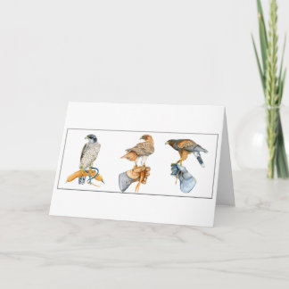 ホーキング勉強誕生日カード カード