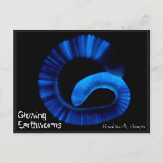 ホーキンズビルジョージア米国はがき ポストカード