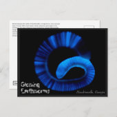 ホーキンズビルジョージア米国はがき ポストカード (正面/裏面)